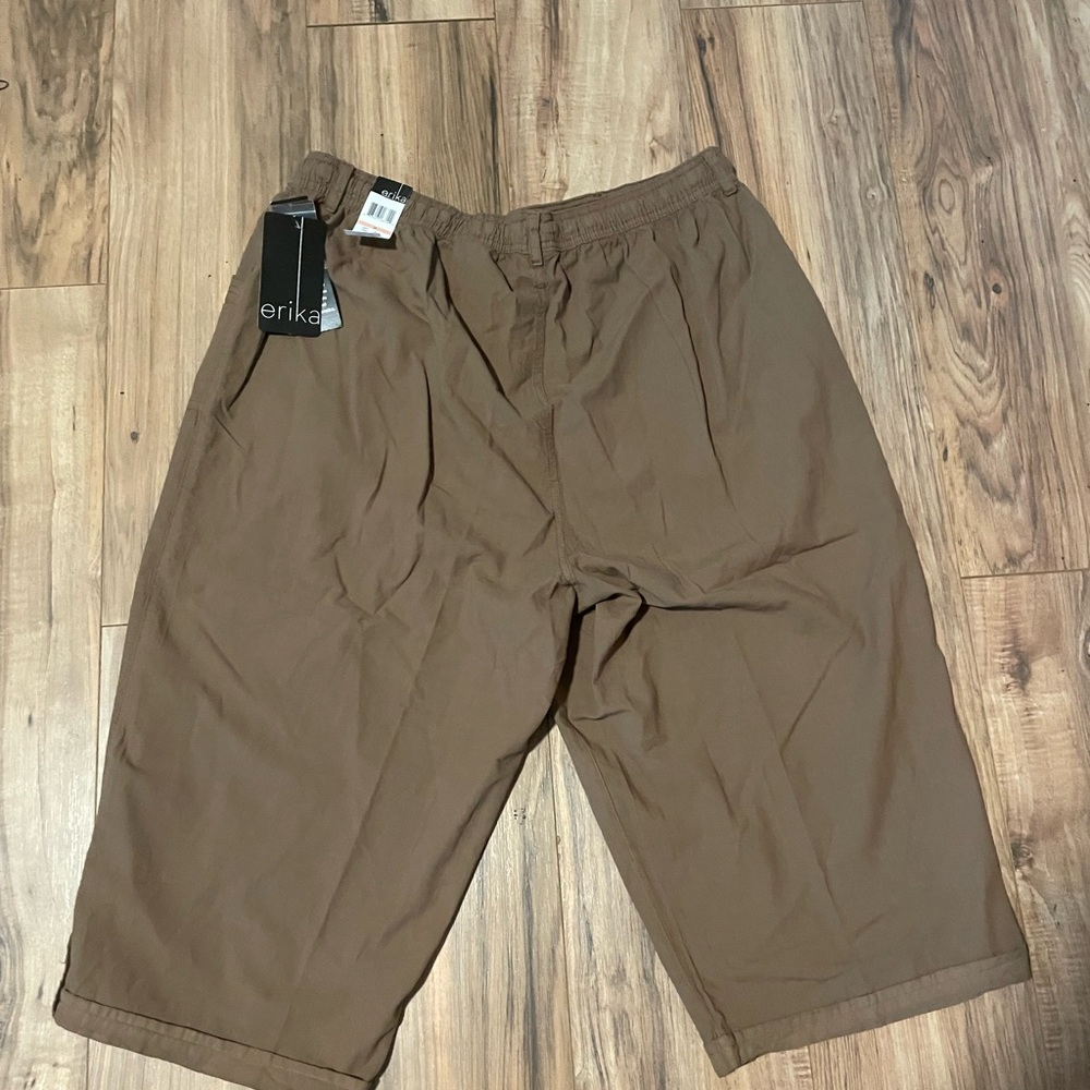 Erika Brown Flat Front Shorts Casual Style